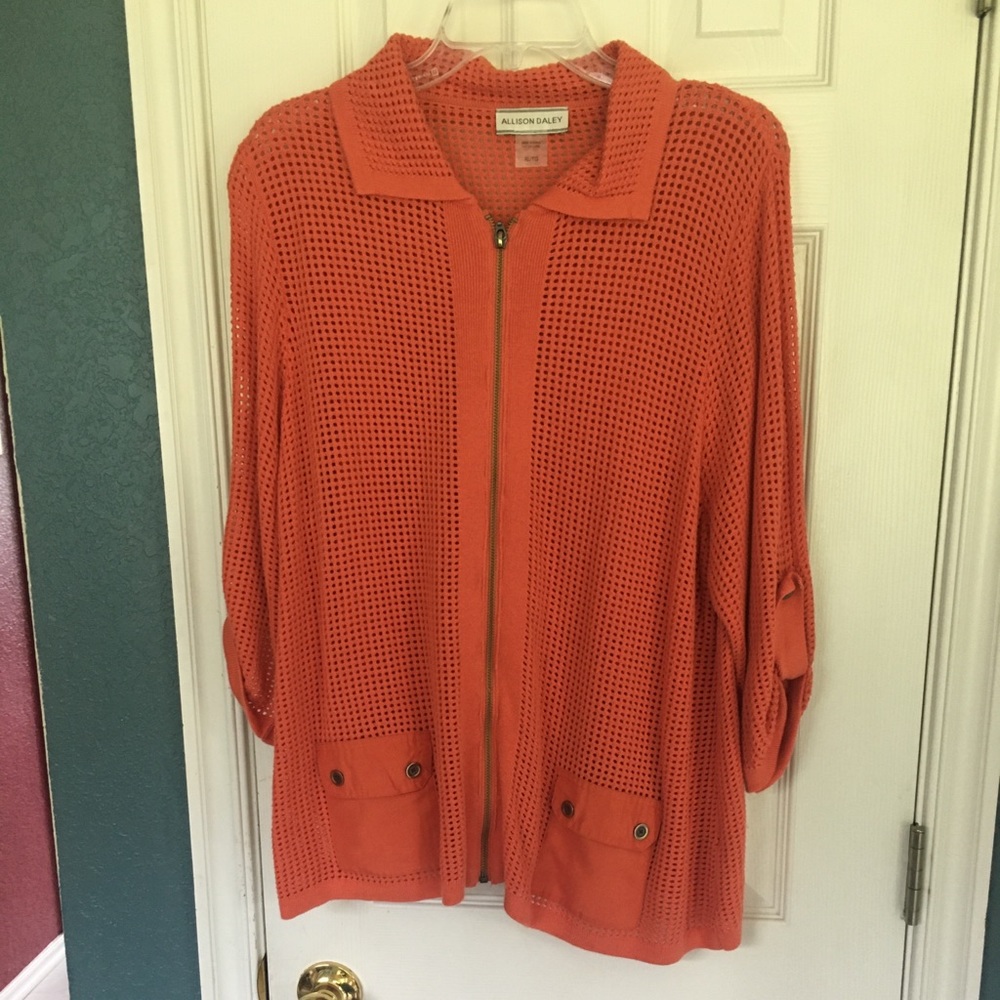 Allison Daley Orange Sweater